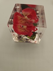Vtg Lucite Resin Ring Lot 6 Flower Dice Chunky Mixed Sizes C1