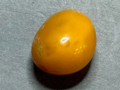 NATURAL OLD ANTIQUE YELLOW BUTTERSCOTCH BALTIC AMBER BEAD