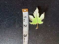 Vintage Maple Leaf Brooch