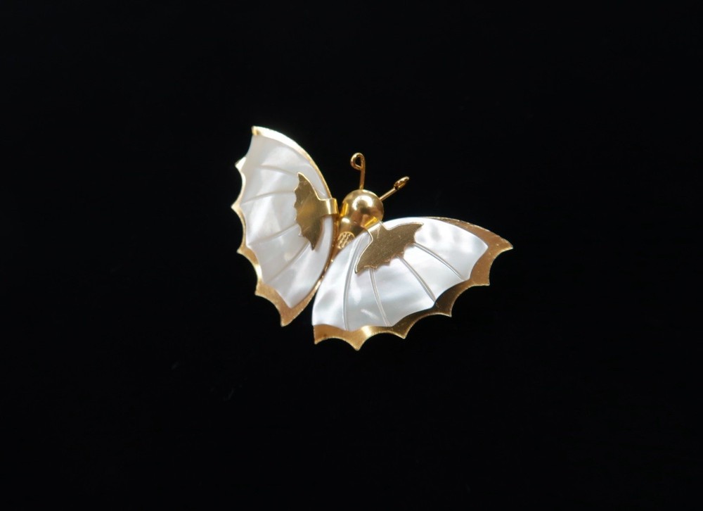 Women’s Vintage Butterfly / Moth Carved Mother Of Pearl Shell Gold Tone Brooch