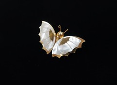 Women’s Vintage Butterfly / Moth Carved Mother Of Pearl Shell Gold Tone Brooch