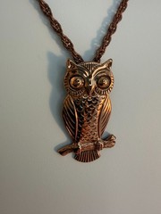 Vintage Solid Copper Owl Pendant Necklace Mid Century 1970s Nature Wildlife Boho