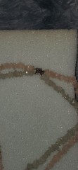 7.4 lbs Vintage Costume Jewelry Lot Unsearched Estate Hoard Deadstock Earrings