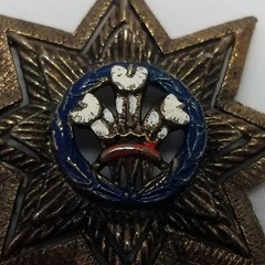 Vintage Prince of Wales Logo Enamel 8 Pointed Star Medallion Pendant Bronze Tone