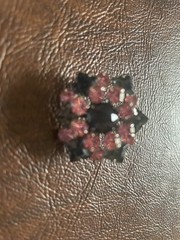Six Beautiful Vintage Brooches to Accentuate Any Wear.