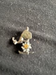 Large Vintage/Antique Pin Collection See Photos and Description