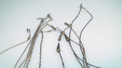 Vintage Native & Southwest Jewelry 8pc Necklace Lot Turquoise Sterling Rings