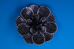 Floral Polka Dot Brooch Pin Gold Tone approx 2.5in Layered Petals Black White