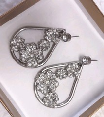 Beautiful Silver Tone Earrings
