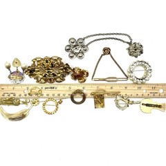 Vintage 15 Brooch Pin Lot Victorian Art Deco Nouveau Whimsical Sarah Cov Other