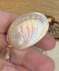 Vintage Cookie Lee Genuine Shell and Coral Colored Bracelet NWT Adjustable Size
