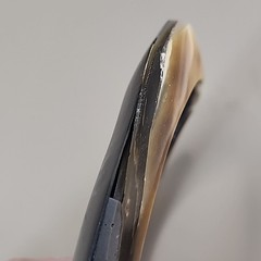 Vintage Mother of Pearl Bangle Bracelet Brown White Variation Asymmetrical 8.25″