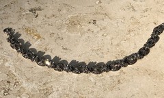 ✨VINTAGE Sterling Silver MARCASITE Floral 🌺Tennis Bracelet 🌟ESTATE Jewelry🌟