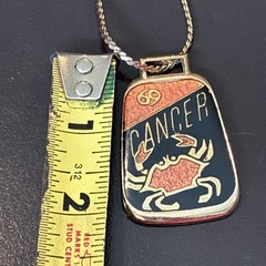 Vintage Cancer Zodiac Enamel Pendant Necklace Double Sided Astrology Crab 27”