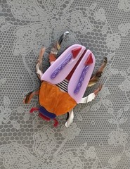 Vintage style large beetle acrylic brooch pin