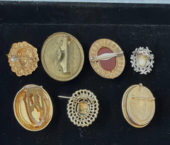 7 Vintage Unique Cameo Pins & Clips Plastic, Stone, Glass