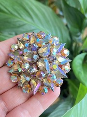 vintage aurora borealis Doomed brooch