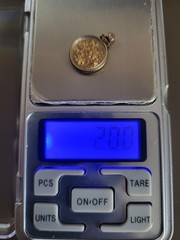 Vintage 20k Natural Gold Placer Nuggets in Gold Filled Display Charm Pendant 2g