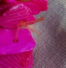 Vintage 1980s Hot Pink Dyed Shell Chunk Bracelet Stretchy Statement Retro Boho