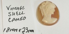Vintage Shell Cameo 18mm X 23mm