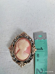 Vintage Peri-Oval Cameo Brooch/Pendant in a Gold Tone Ornate Frame