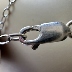 Ray Youmans Pendant Necklace 20 Inch Fossil Dino Gembone 925 Sterling 26.7g