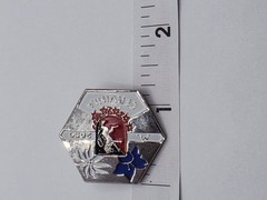 Vintage Ski Pin Lorioli Fratelli M. Cervinia 2050 Hat Lapel Pin Enamel Milano