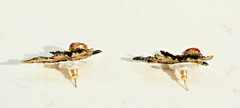Maple Leaf Earrings Vintage Unbranded Post Style Metal and Gemstone