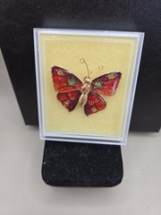 VTG Glittery Butterfly Enamel Brooch Pin 60’s 70’s Orange Yellow Goldtone in Box