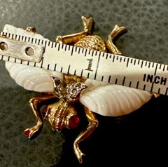 Jomaz Gold and white wings Fruit Salads Bug fly beautiful and rare!!