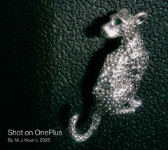 Betty White’s Silver & Emerald Leopard Brooch