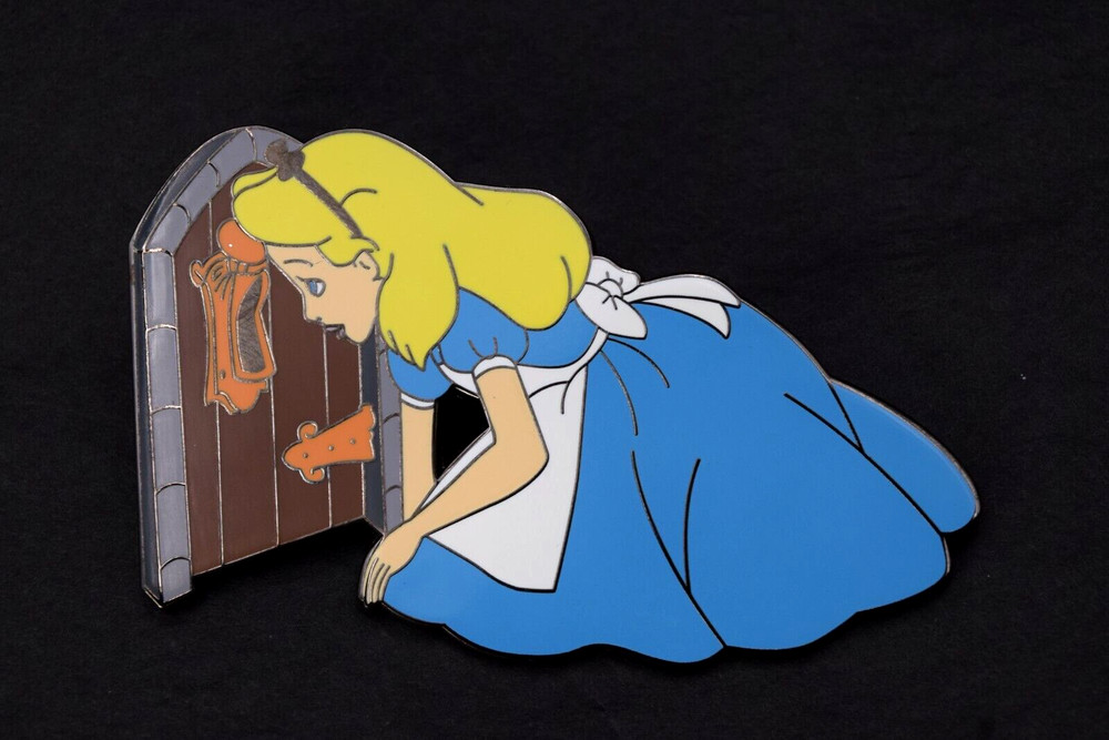 FOLLOW ME DOWN THE RABBIT HOLE ALICE IN WONDERLAND PIN LE 50- UNBRANDED