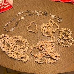 Shell Jewelry bundle