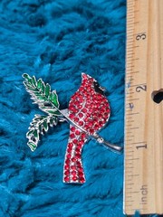Rhinestone Cardinal Brooch