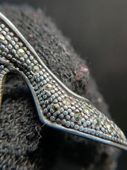 Sterling Silver 925 FAS Art Deco Marcasite High Heel Brooch