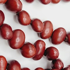 Artisan Hand Strung Red Seed Nut Bead Single Strand Infinity No Clasp Necklace