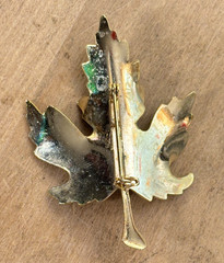 Lot of 7 Vintage Costume Jewelry Brooches and Clips, Frog, Leaves, Ornament