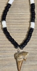 VINTAGE FOSSIL SHARK TOOTH WOOD PUKA SHELL BEADS CHOKER NECKLACE
