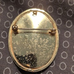 Oval Cameo Portrait Brooch Pin Gold Tone Frame Pink & Ivory, Beauty Theme