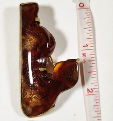 Antique Victorian Baltic Amber Brooch With Sun Spangles Freeform Brass