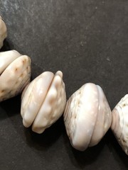 Puka Shell Necklace Hawaiian Lei Graduated 9 mm to 17 mm 17 in Length – Vintage