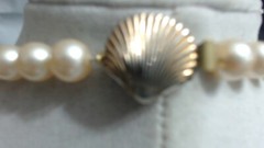 Vintage Long Creamy Beige Knotted Glass Bead Necklace Seashell Clasp 37″