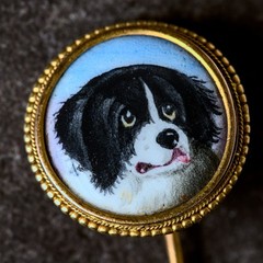 LOVELY ANTIQUE VICTORIAN ENGLISH 15K GOLD ENAMEL STICKPIN BERNESE MOUNTAIN DOG