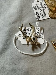 Lot of (7) Vintage Brooches Various Designs/Styles/Shapes/Colors Fashion Jewelry