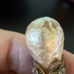 Vintage Miriam Haskell Faux Baroque Pearl Pendant UNSIGNED Wired Choker “AS IS”