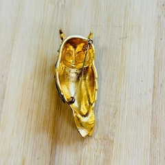 VTG Jomaz Owl Bird Pin Brooch Gold Tone Cabochon Rhinestone Unsigned 1960s Rare