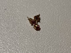 Vintage Pink Rhinestone Stud Earrings Gold Tone Bezel Cup Solitaire Bullet Back