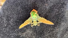 Antique French Art Nouveau Real Scarab Pendant