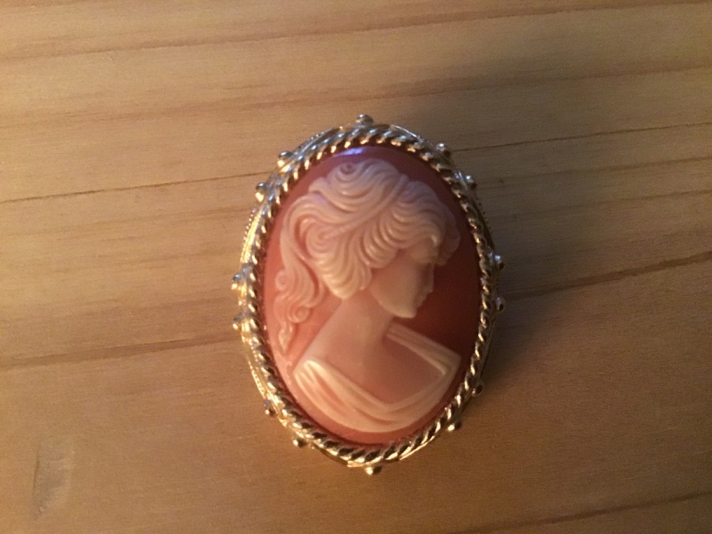 Sarah Coventry Pink Resin Cameo Brooch/Pendant with Twisted Gold-Tone Frame