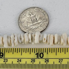 Vintage White Puka Shell Beaded Necklace 15.5 in Silver-Tone Barrel Clasp